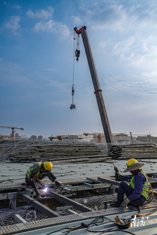 視界丨非凡工程 共建灣區 建筑工程的壯麗篇章